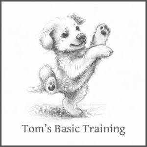 Tom's Basic Training