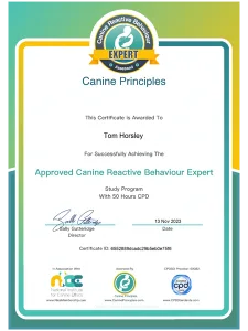 Canine Reactive Behaviour Expert Certificate